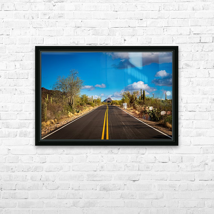 Road and cactus in Saguaro National Park HD Sublimation Metal print with Decorating Float Frame (BOX)