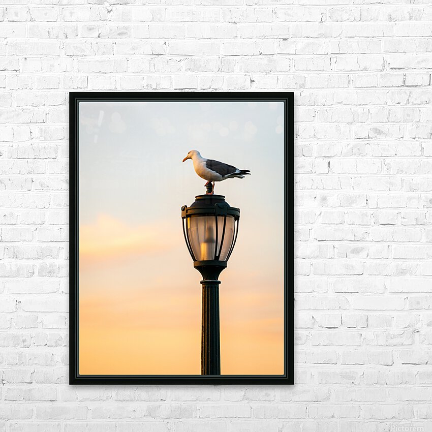 Seagull on a cast iron street lamp at dusk HD Sublimation Metal print with Decorating Float Frame (BOX)