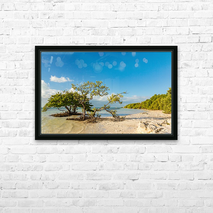 Florida Keys Annes Beach HD Sublimation Metal print with Decorating Float Frame (BOX)