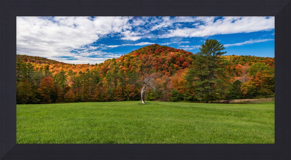 Impression de cadre personnalisé