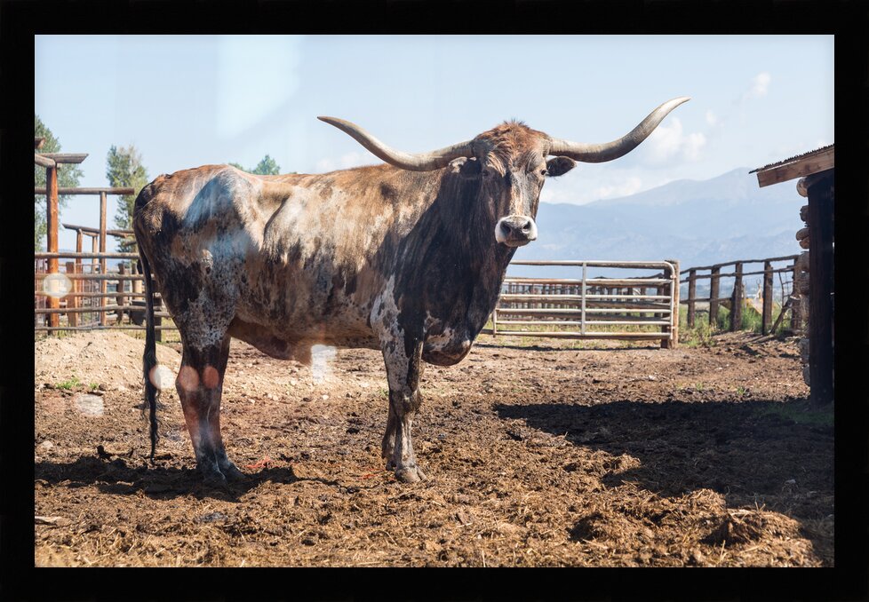 Impression de cadre personnalisé