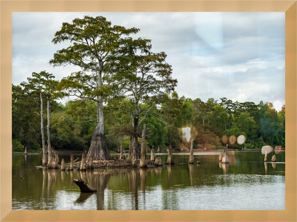 Impression de cadre personnalisé