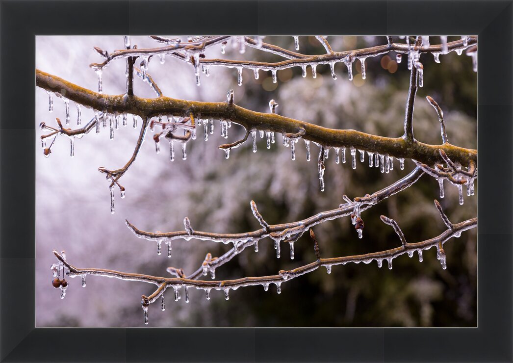 Impression de cadre personnalisé