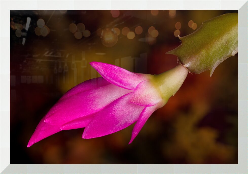 Impression de cadre personnalisé