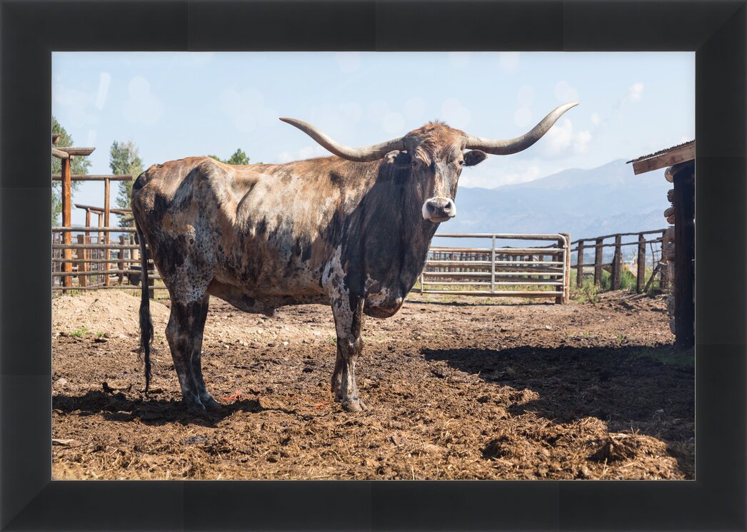 Impression de cadre personnalisé