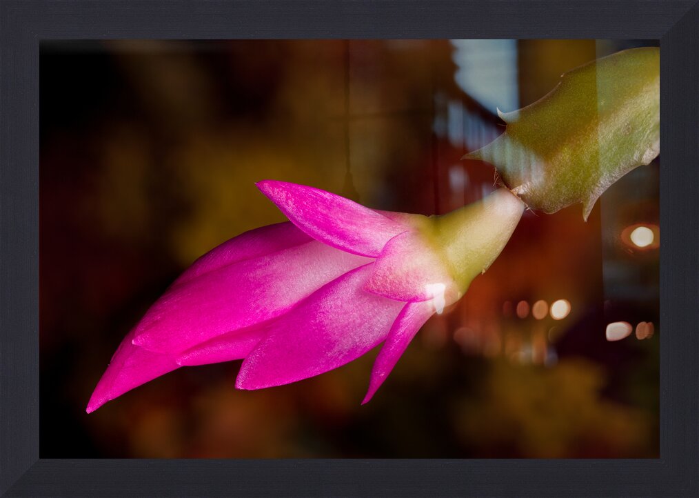 Impression de cadre personnalisé