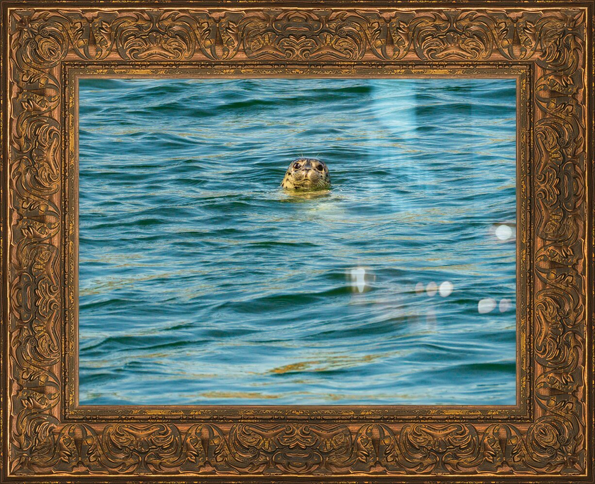 Impression de cadre personnalisé