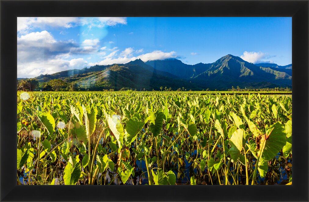 Impression de cadre personnalisé