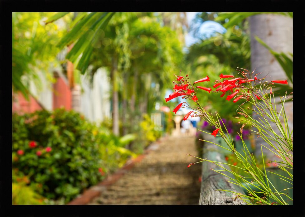 Impression de cadre personnalisé