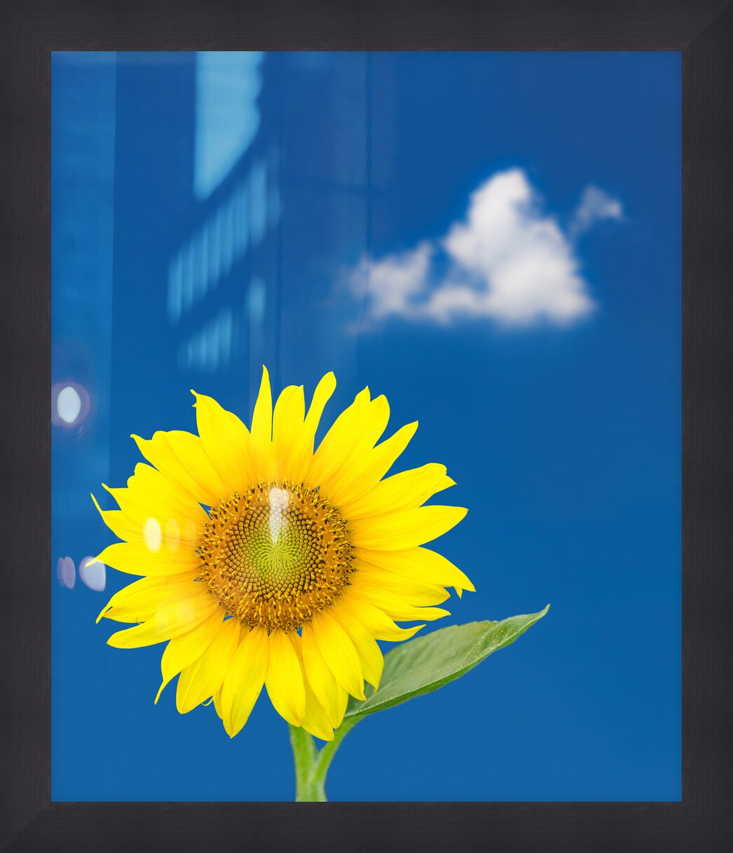 Impression de cadre personnalisé