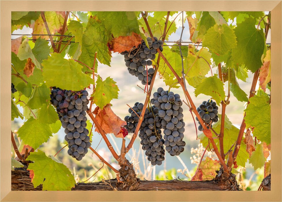 Impression de cadre personnalisé