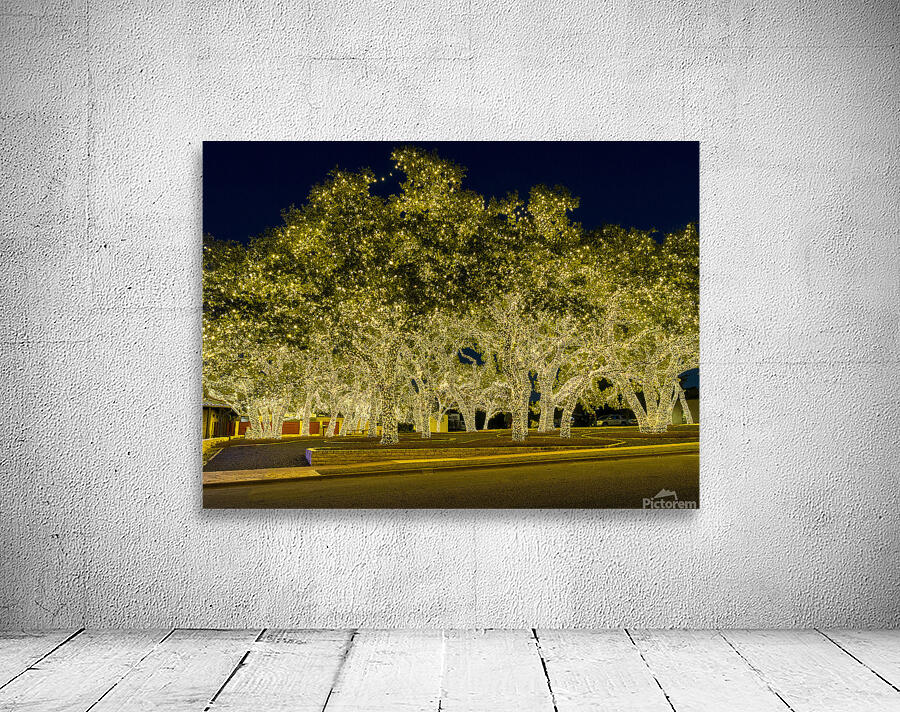 Holiday lights spectacular in Johnson City Texas Wall Preview