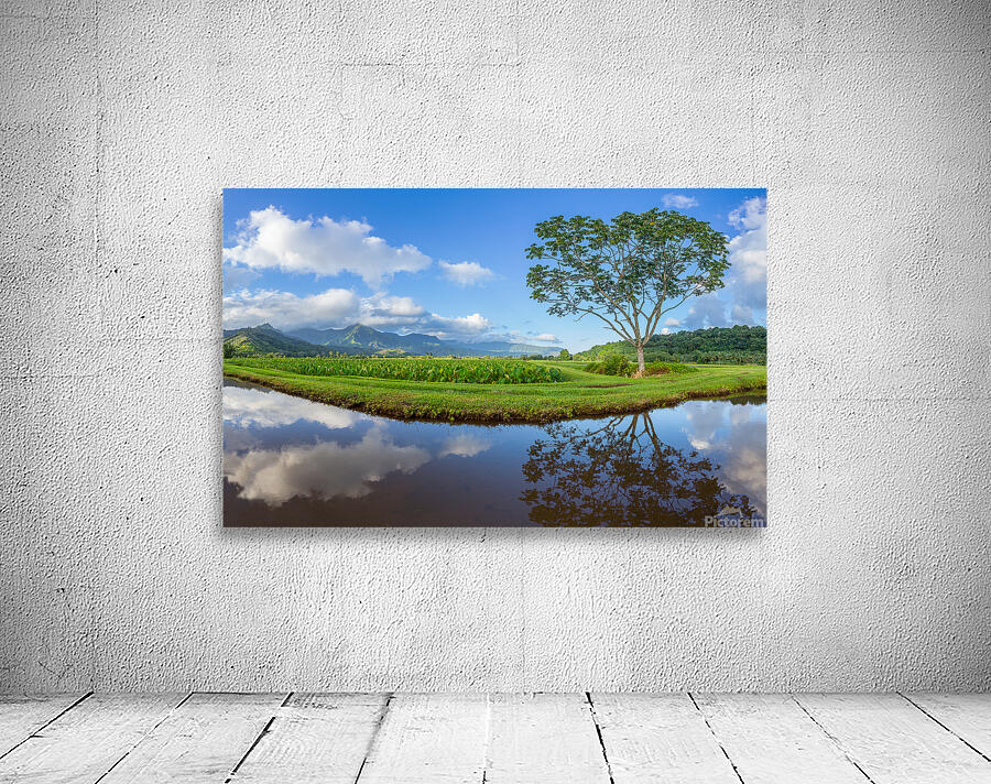 Panoramic view of Hanalei Valley in Kauai Wall Preview