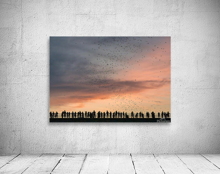 Bat watchers crowd on Congress Avenue bridge as bats fly  Wall Preview