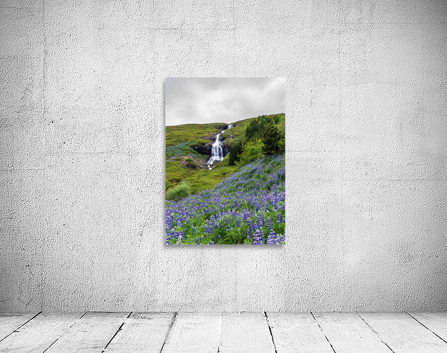 Waterfall in Tunhudalur valley near Isafjordur Iceland with lupi Wall Preview
