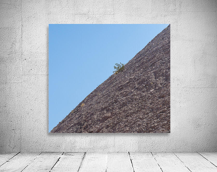 Small bush clinging to life on arid desert hillside in minimalis Wall Preview