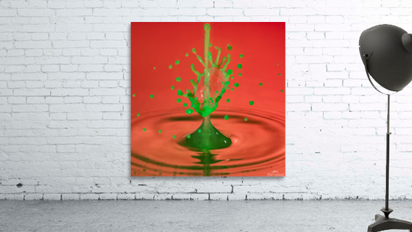 Water droplet collision - Christmas Tree by Steve Heap