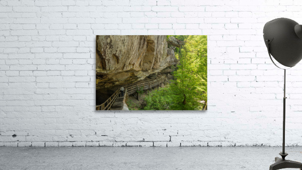 Boardwalk in Audra State Park near Buckhannon in West Virginia Wall Preview