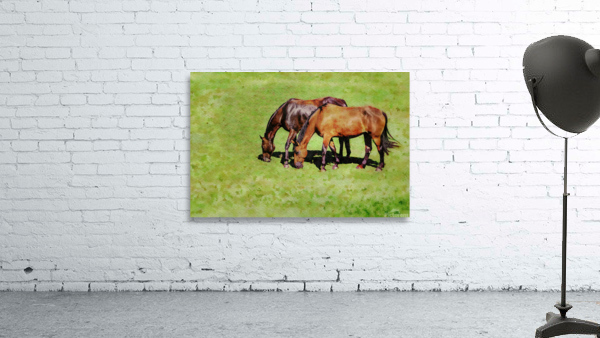 Digital water color of two brown horses by Steve Heap