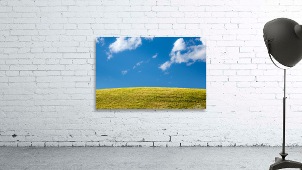 Green grassy lawn with blue sky and clouds by Steve Heap
