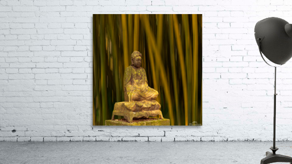 Buddha statue in bamboo forest by Steve Heap