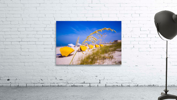 Madiera Beach and sea oats in Florida by Steve Heap