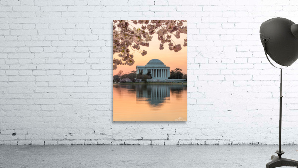 Cherry Blossom and Jefferson Memorial at sunrise by Steve Heap