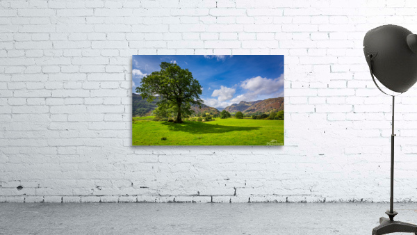 Tree with Langdale Pikes in Lake District by Steve Heap