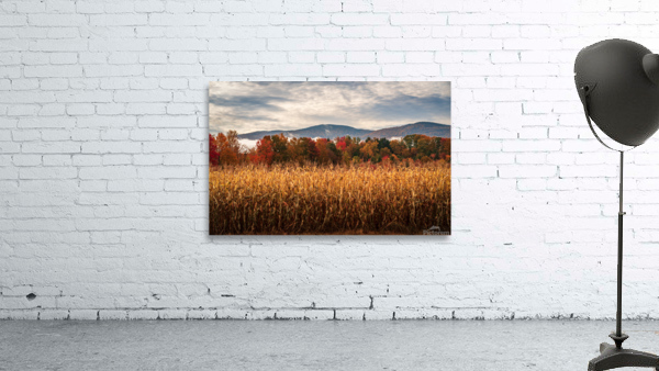 Multi-colored fall landscape in Vermont by Steve Heap