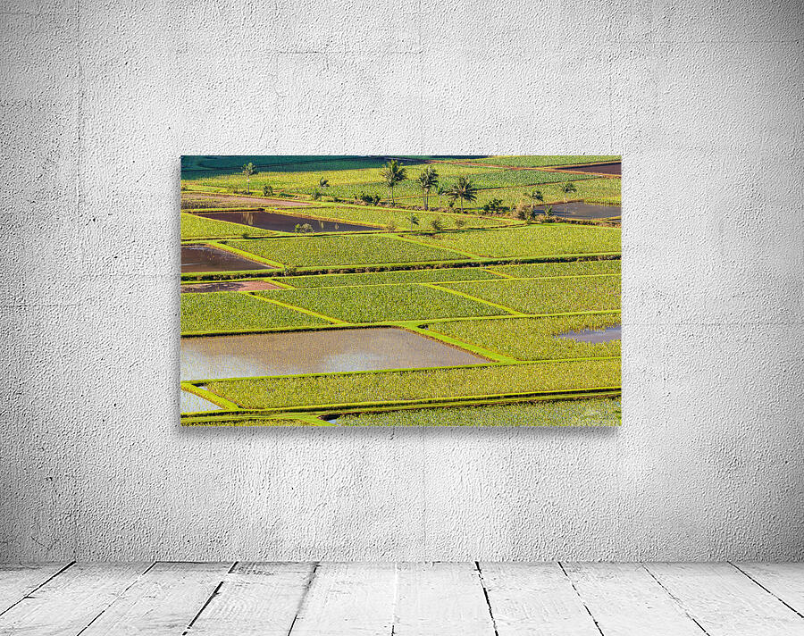 Hanalei Valley in Kauai Wall Preview