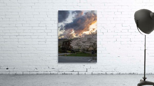 Steel girder bridge carries the bike walking trail over Deckers  Wall Preview