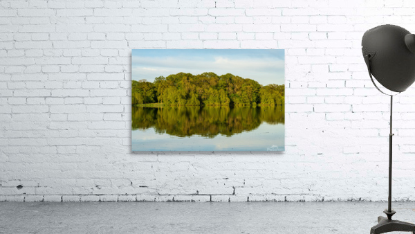 View across the Mere to a reflection of distant trees in Ellesme by Steve Heap