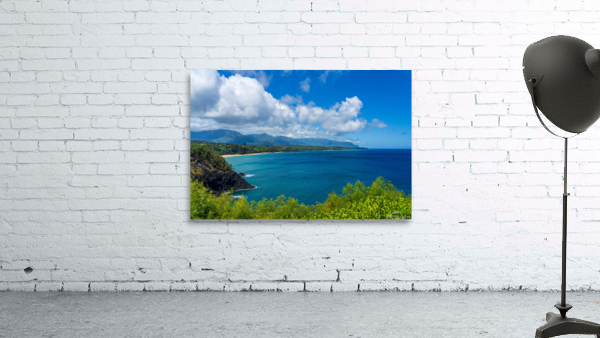 Coastline to Princeville from Kilauea Lighthouse Kauai by Steve Heap