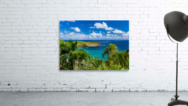 Mokolea point and Kahili beach framed by palm trees Kauai by Steve Heap