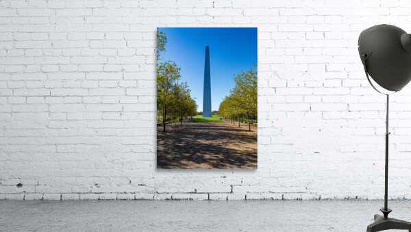 Unusual view of St Louis and Gateway Arch from National Park by Steve Heap