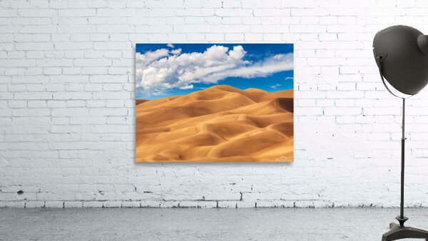 Panorama of Great Sand Dunes National Park Wall Preview