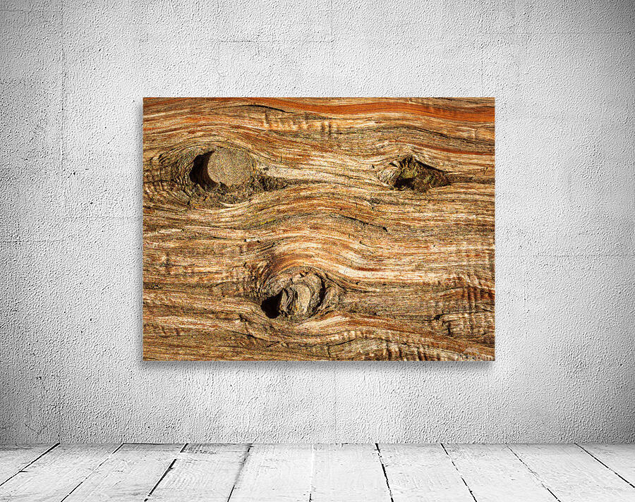 Background close up of cedar trunk bark by Steve Heap