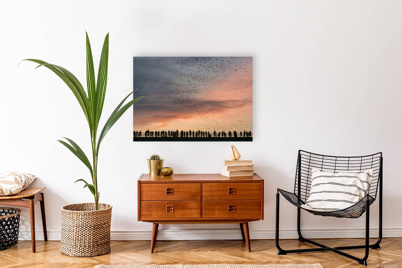 Bat watchers crowd on Congress Avenue bridge as bats fly  Reproduction