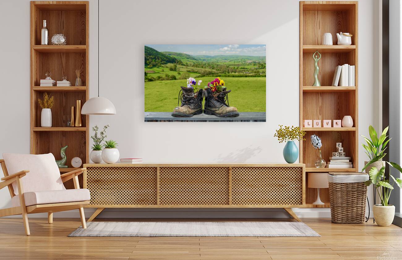 Pair of old hiking boots turned into plant pots with hill walkin Reproduction