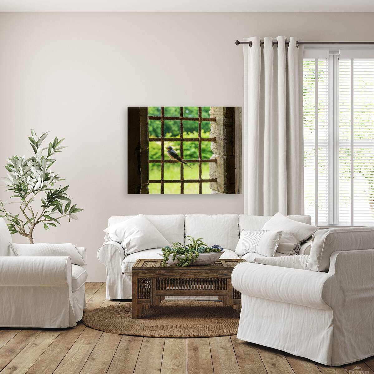 Barn swallow perched on the bars of 13th Century window Reproduction