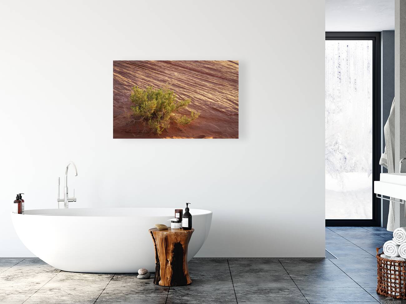 Detail of bush around Rainbow Vista trail in Valley of Fire stat Reproduction