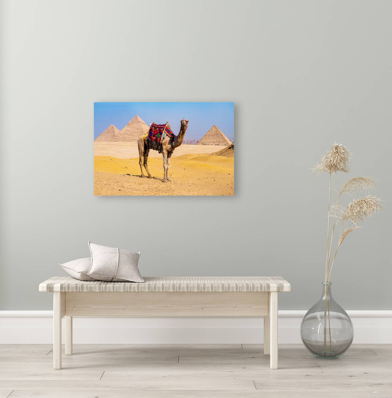 Single camel standing in front of Great Pyramid of Giza waiting  Reproduction