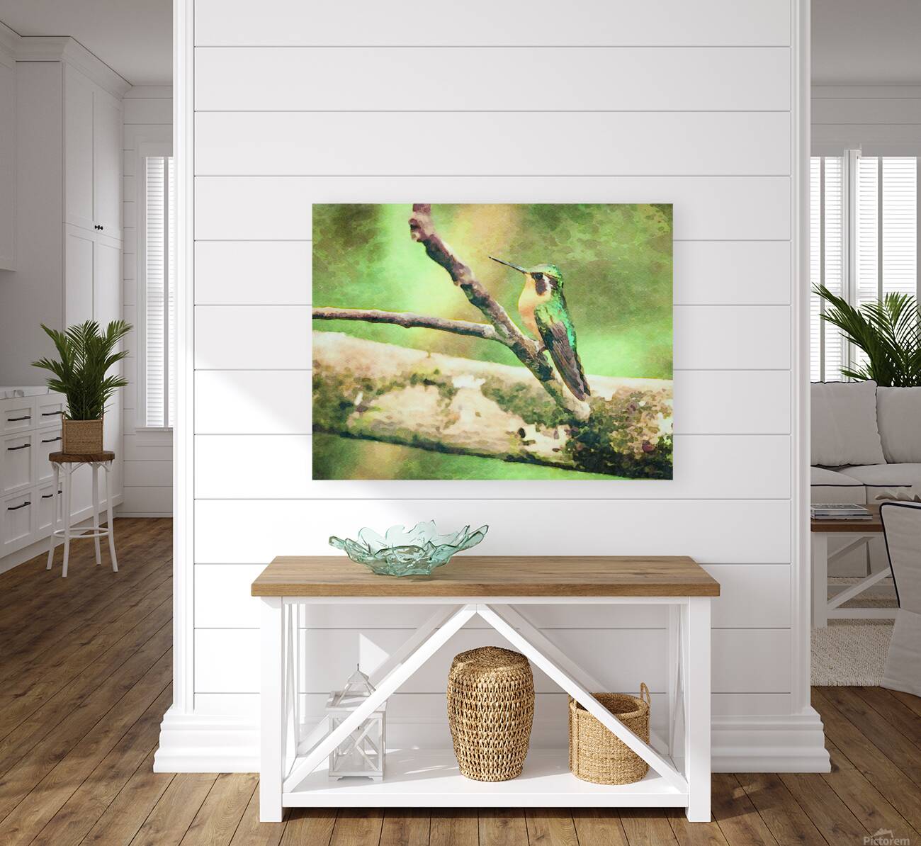 White throated mountaingem hummingbird perched on a twig  in Cos Reproduction