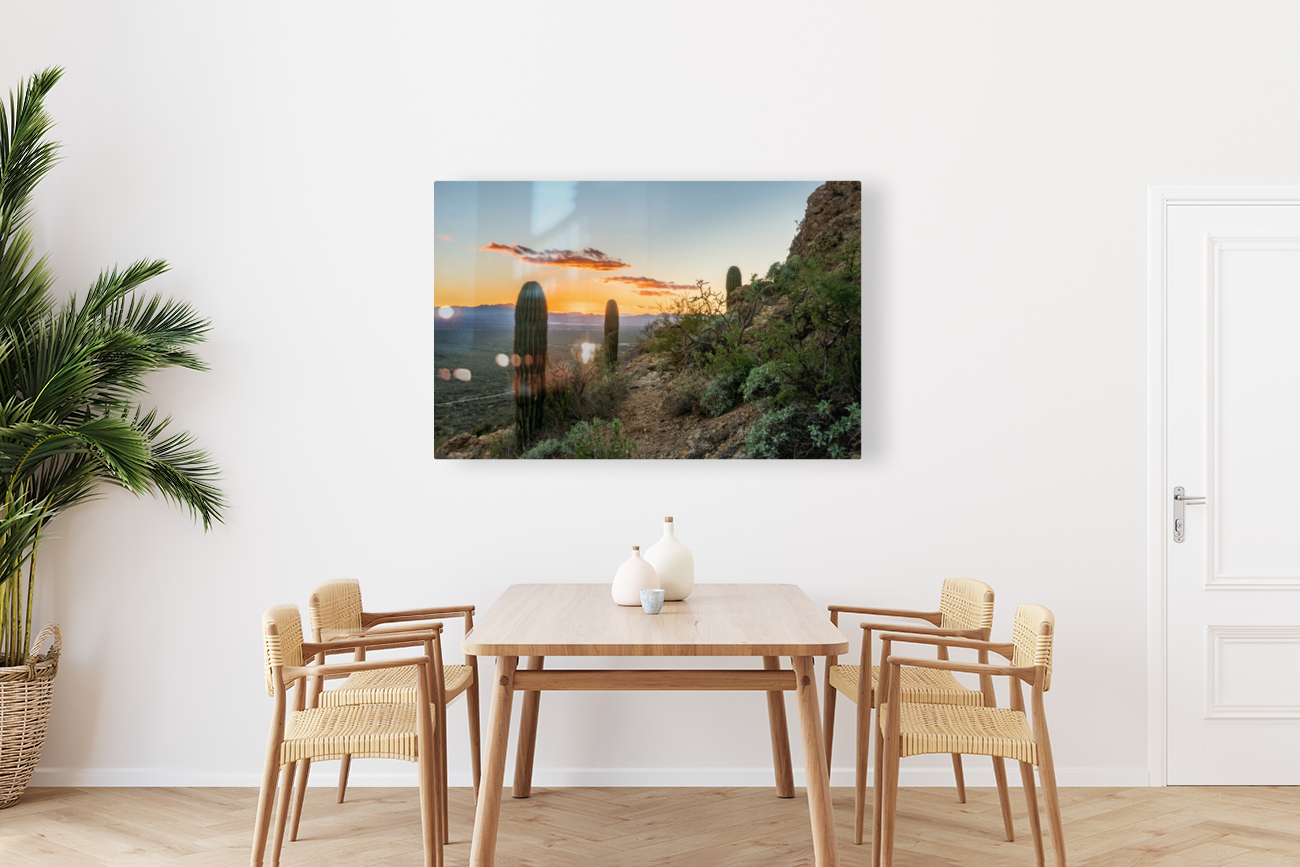 Sunset in Saguaro National Park West Reproduction