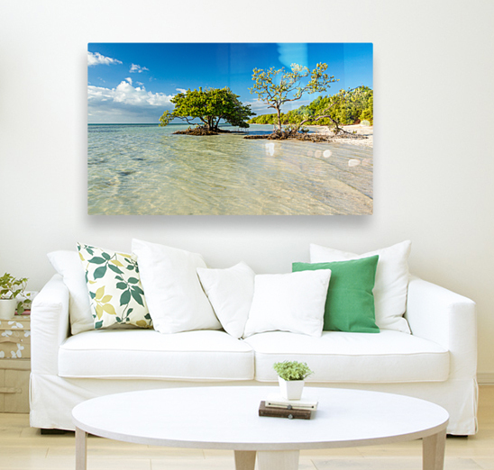 Florida Keys Annes Beach Reproduction