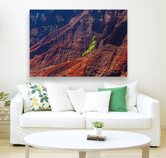 Waimea Canyon on Kauai Reproduction