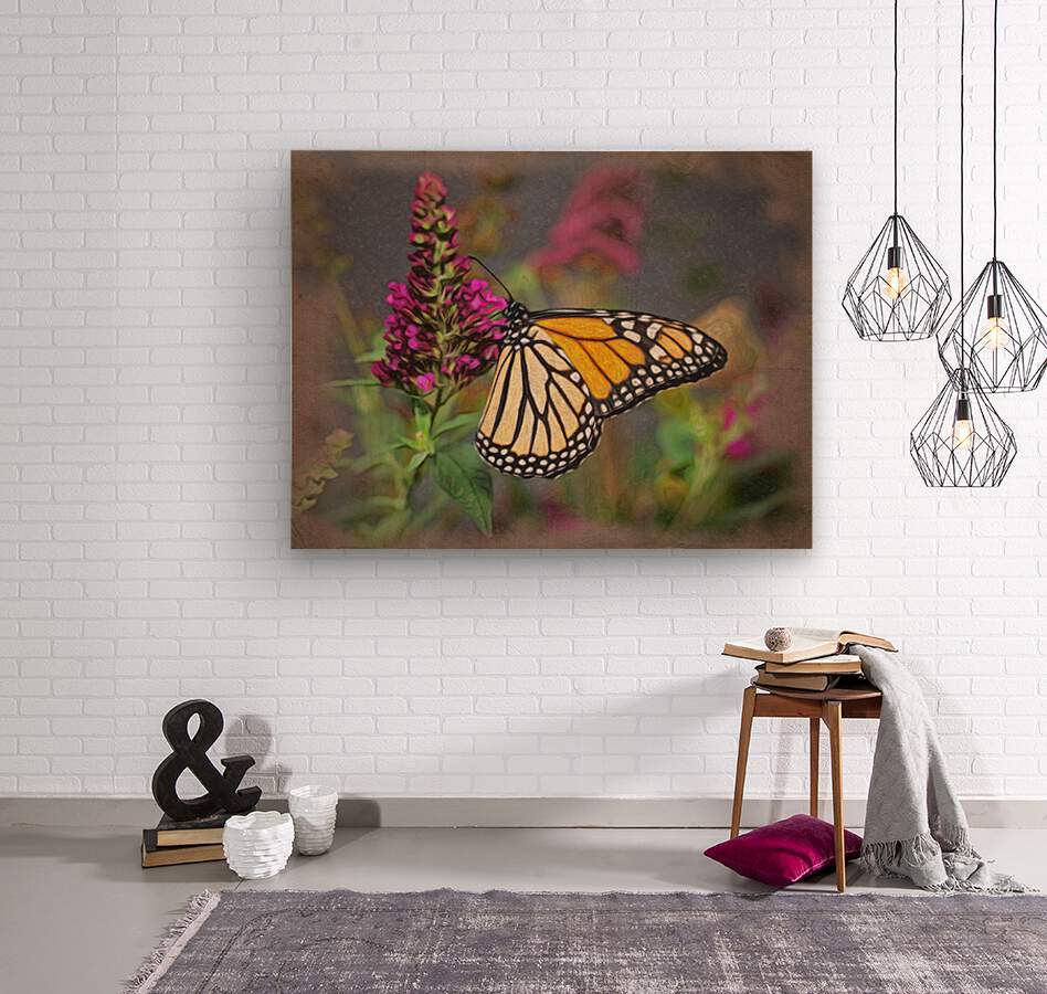 Beautiful Monarch butterfly feeding in garden  Wood print