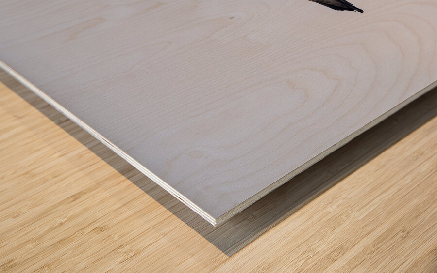 Southern giant petrel flying alongside cruise ship in South Atla Wood print