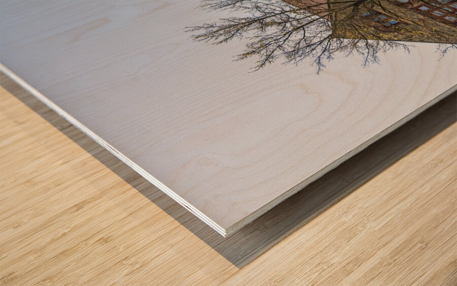 Orton Hall on the Oval at Ohio State University in Columbus Wood print