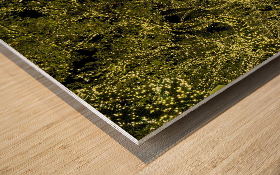 Holiday lights spectacular in trees of Johnson City Texas Wood print